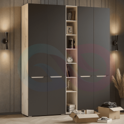 Шкаф распашной Анна-1